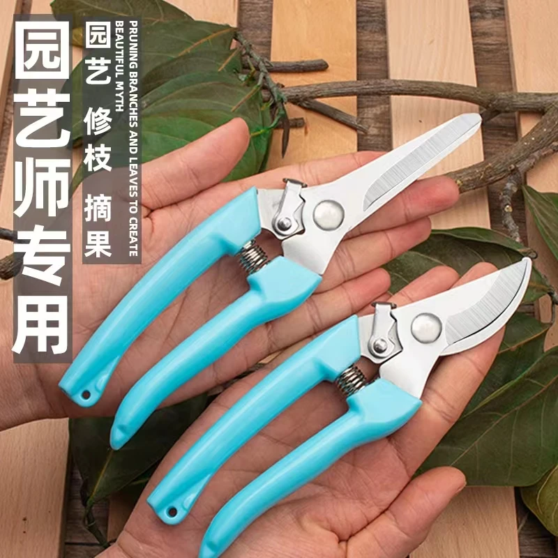 不锈钢剪刀树枝粗枝摘果剪修枝剪花艺剪花椒嫁接省力树剪修花剪子