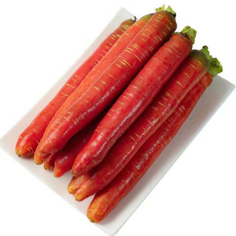 陕西沙地水果红萝卜新鲜蔬菜脆甜可口多汁清甜产地整箱包邮胡萝卜