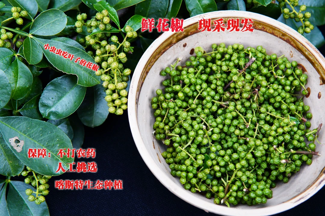 贵州北盘江顶坛鲜花椒