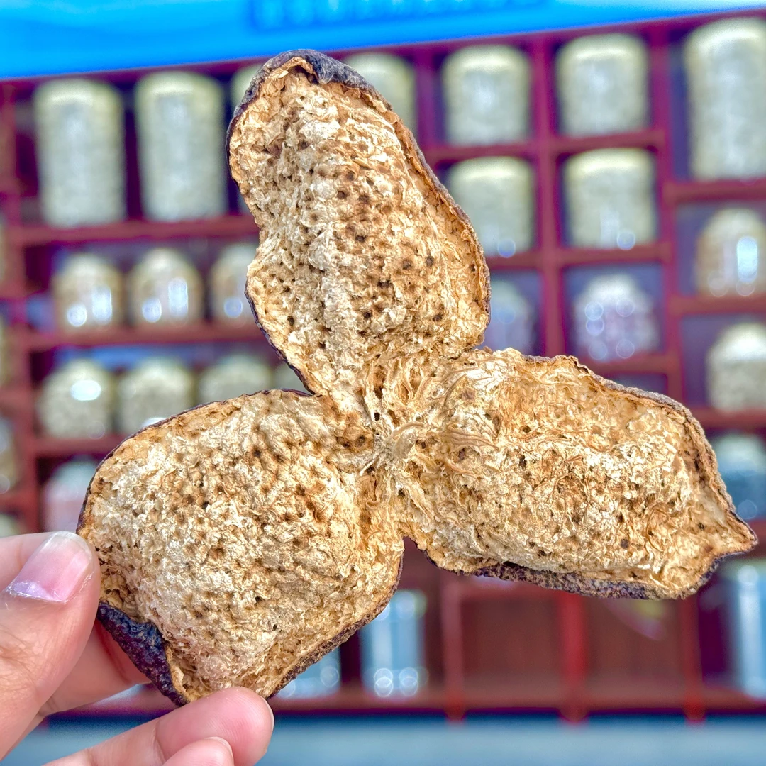 【冬后狗腩 糯香醇甜】2019年南坦狗腩圈枝冬后大红正宗新会陈皮