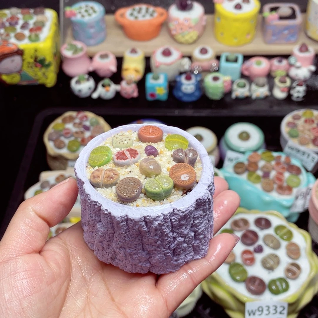 w9339 带盆土发货-零下地区拍保温箱