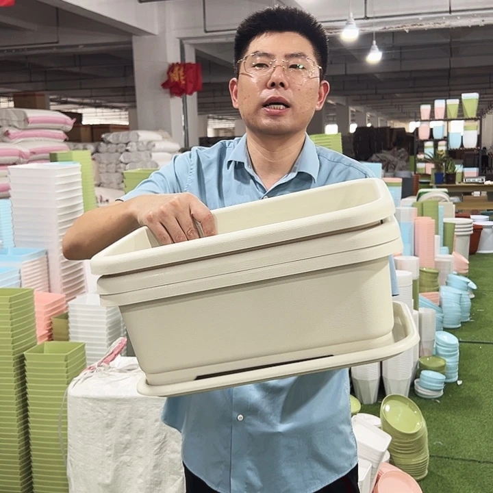 小菜盆宽28长38高14米色3只带托