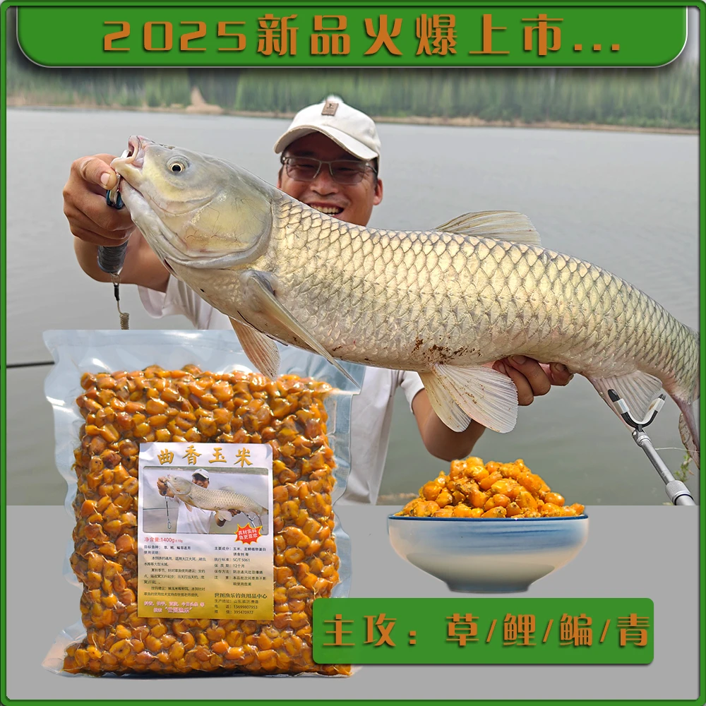 曲香玉米大鱼窝料草鲤鳊青玉米发酵打窝钓鱼湖库
