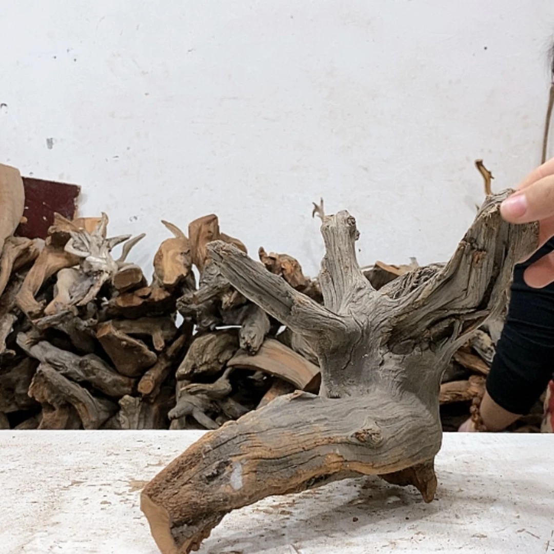 【闪购商品】柏木柏****品我们都是好孩子