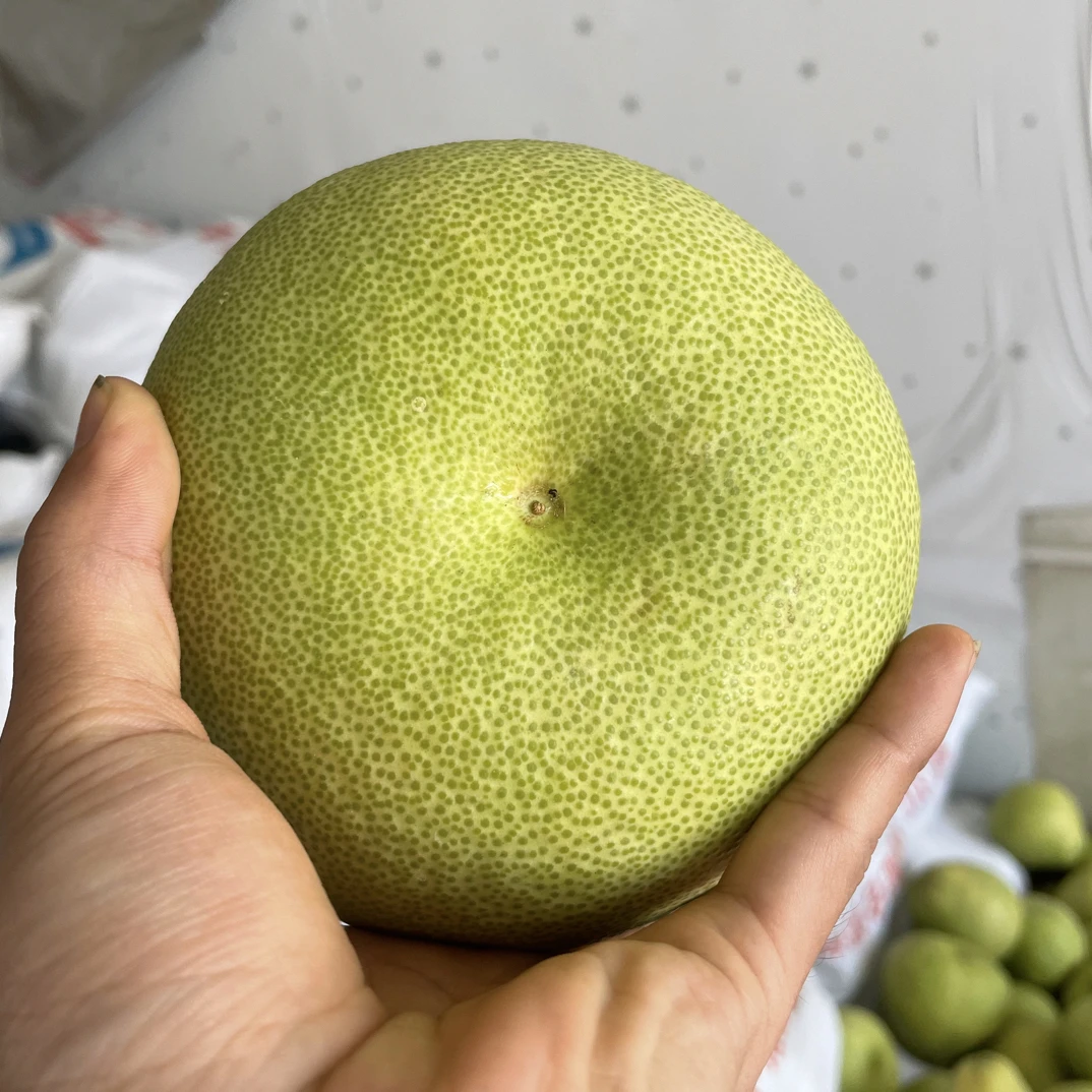 莆田仙游度尾精品文旦柚