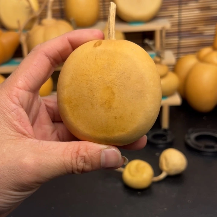 包*菜6666666966666666