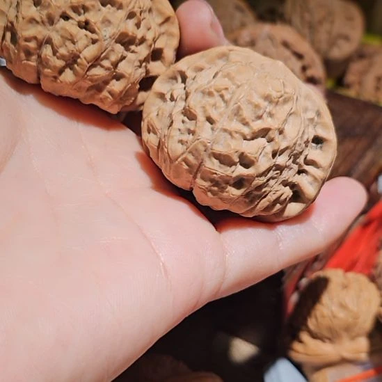 文玩核桃吊坠45.5南瓜