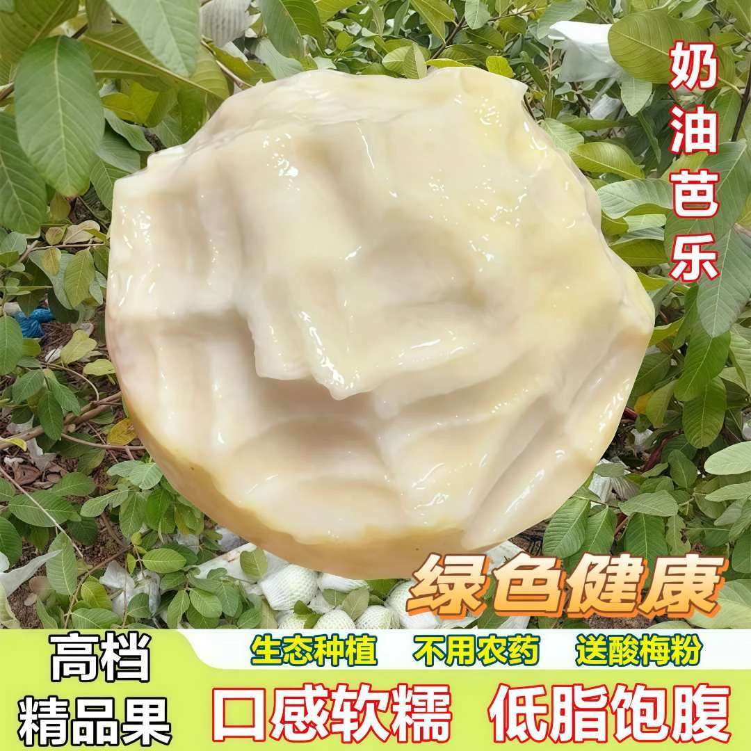 【精选高档果】福建白心奶油芭乐新鲜软糯口感当季产地直发坏果包赔