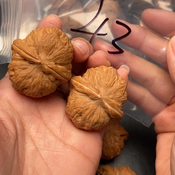 把件文玩核桃43号元宝