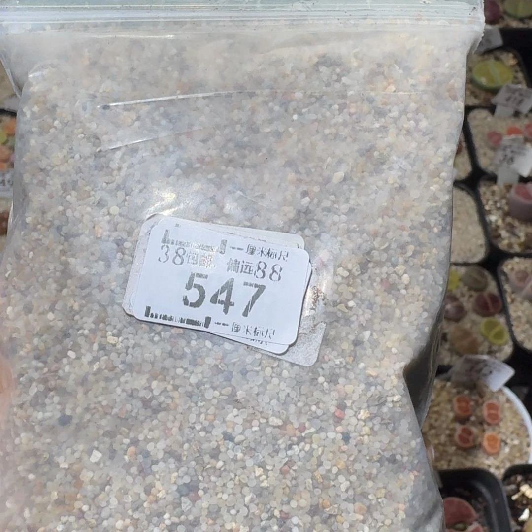 Sss精品清仓价547