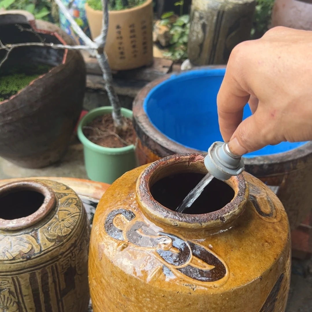 花****厅种花一物一拍