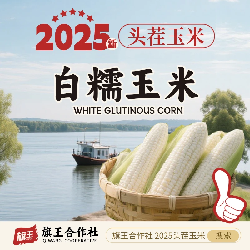 今年东北铝箔装白甜糯玉米14大根单根260-320g整箱8斤试吃4根