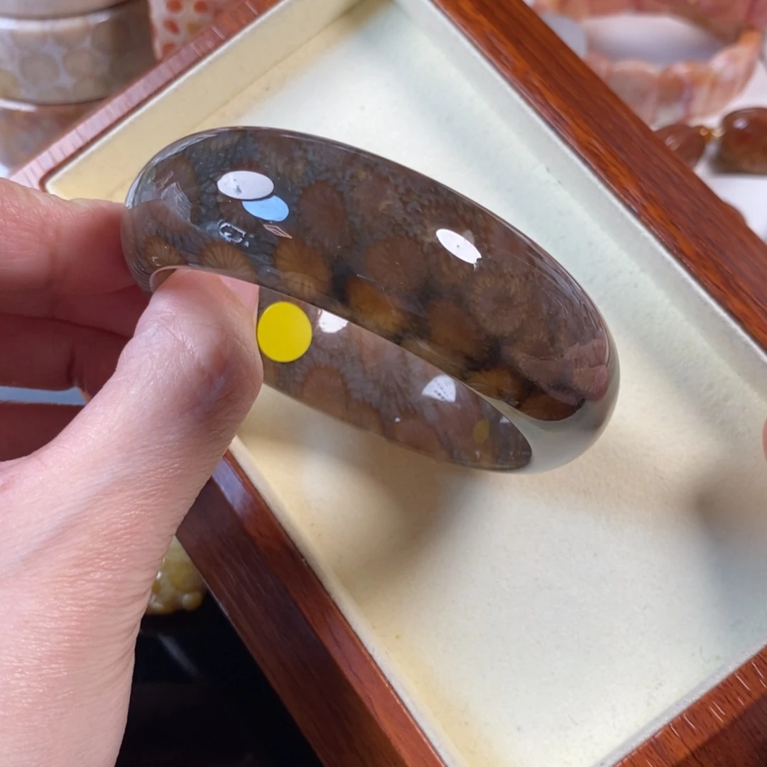 硅化珊瑚（珊瑚玉）未镶嵌手镯5700