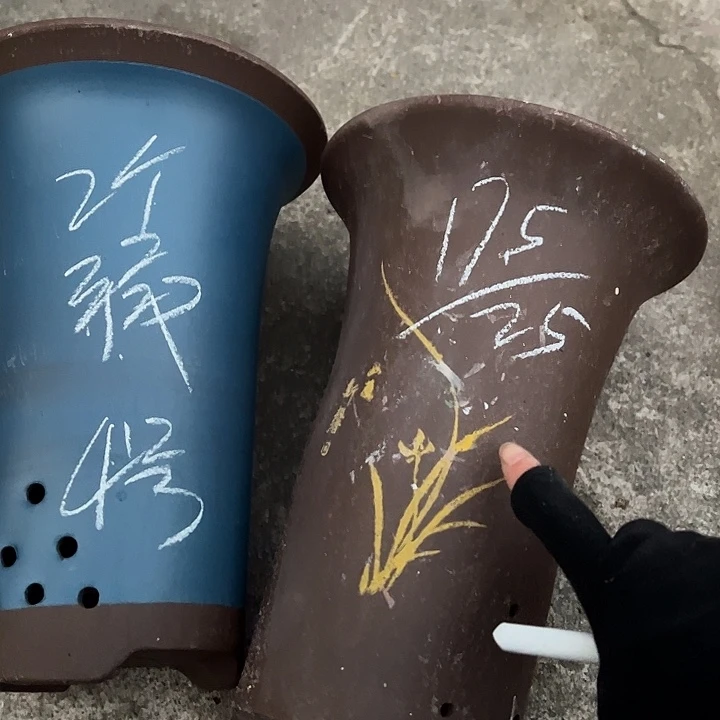 4号……………………………………………………