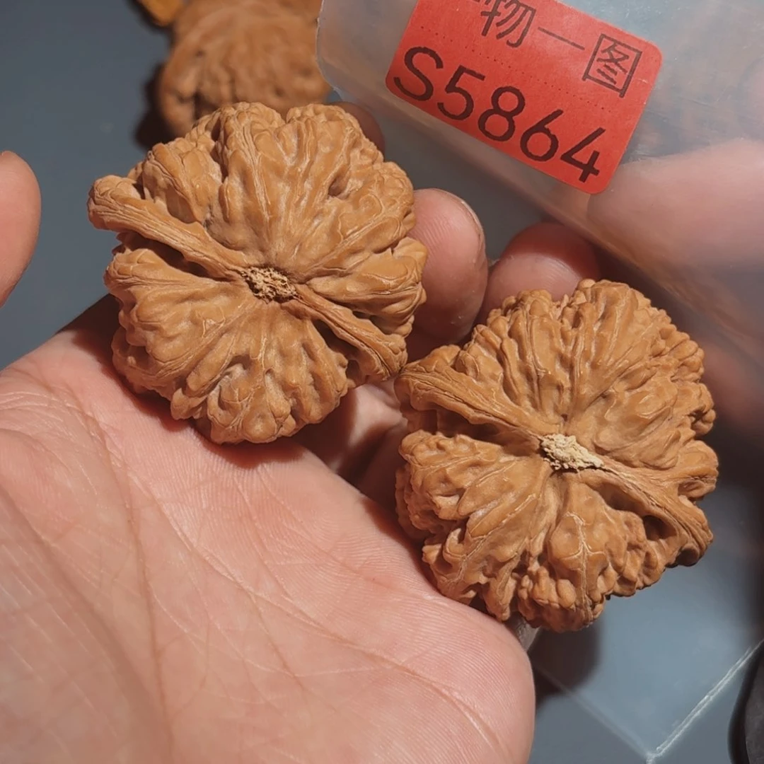 文玩核桃把件粗筋