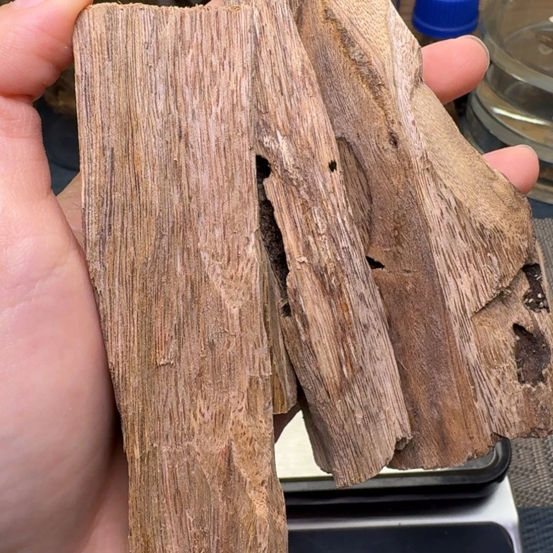 木海南大山虫漏73克