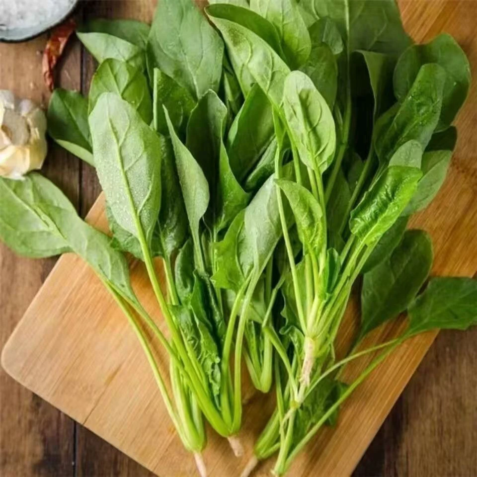 【众旺农场】菠菜 新鲜现砍1/2/3斤顺丰包邮送货上门菠菜