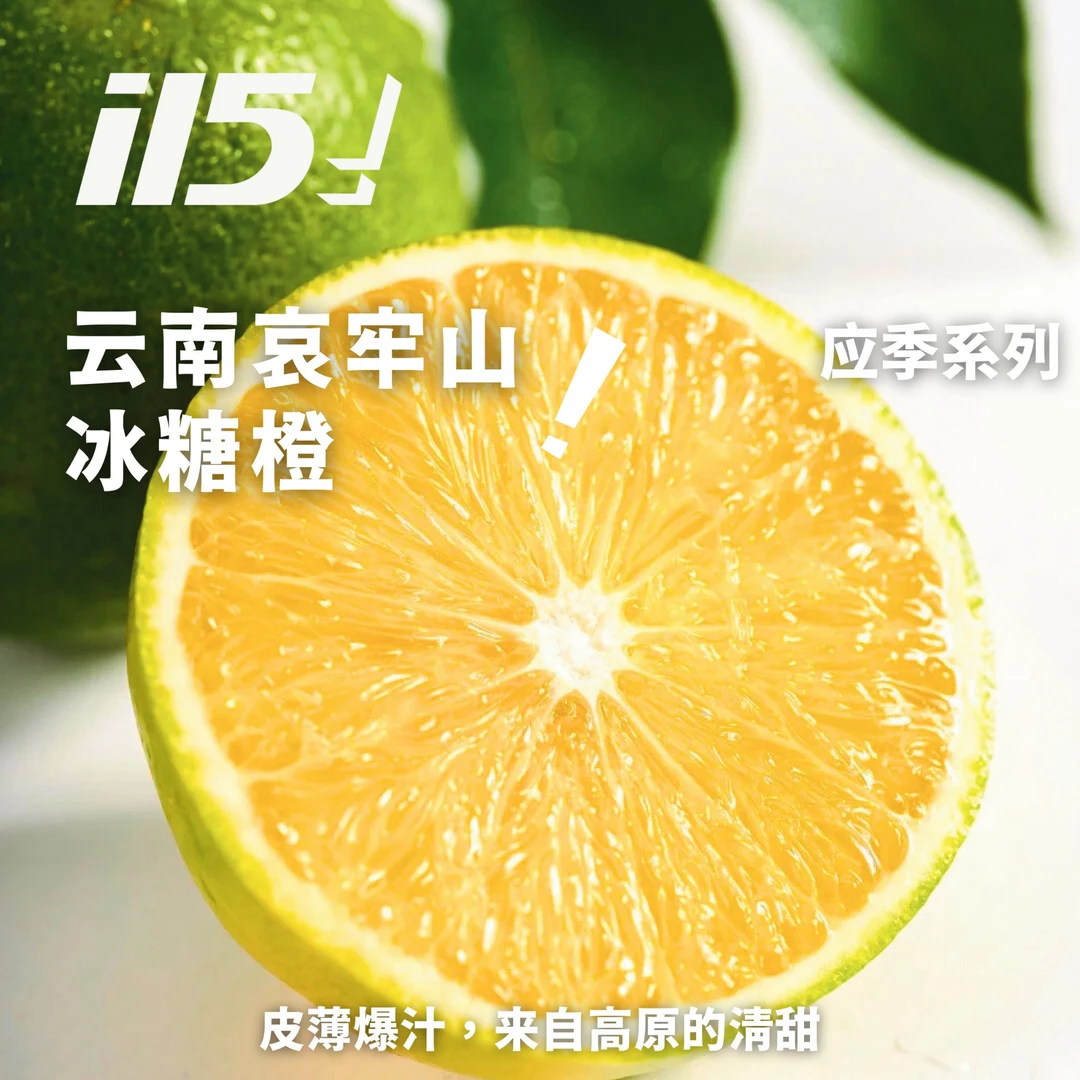 【食博会】云南哀牢山冰糖橙绿皮薄皮手剥应季新鲜水果清甜爆5斤3斤