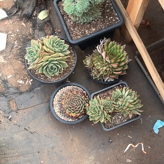 开**好每周特价活动开始啦