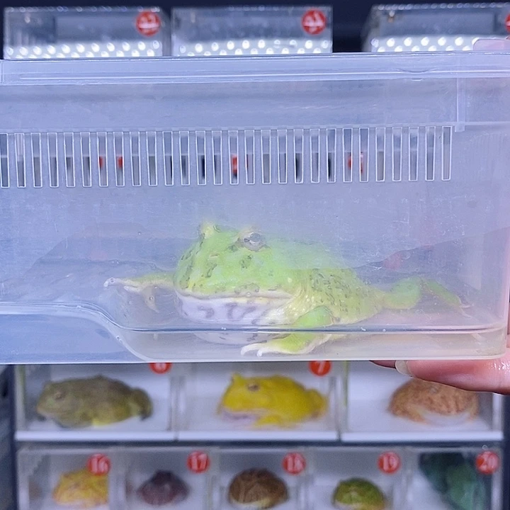 特价秒杀现货特价