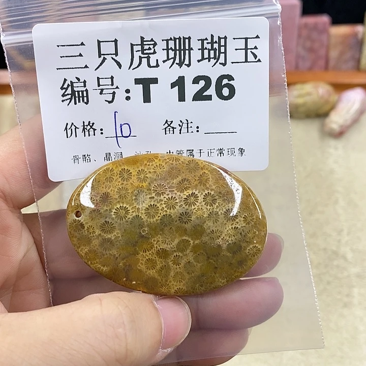 硅化珊瑚（珊瑚玉）1未镶嵌“****》