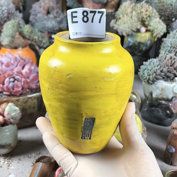 紫砂花盆新品就一个 微次 内口5.8 外高12