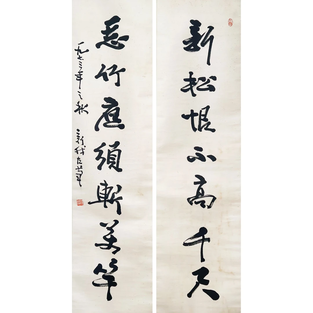 HD0632-费新我书法对联126x33cm/约7.4平尺