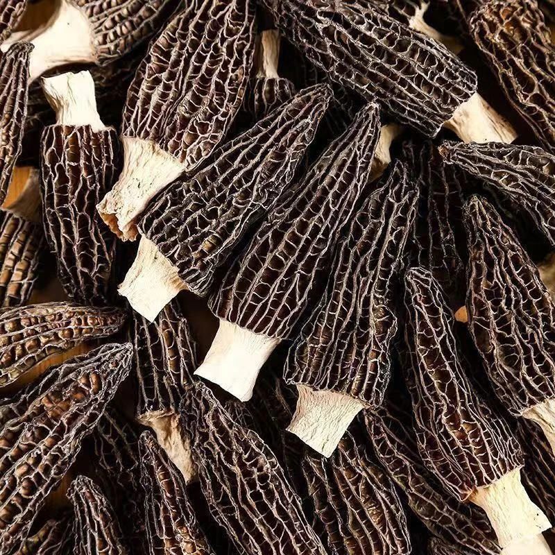 【新货】羊肚菌产地直发4-5厘米长度炖汤煲汤菌菇头茬味道鲜美