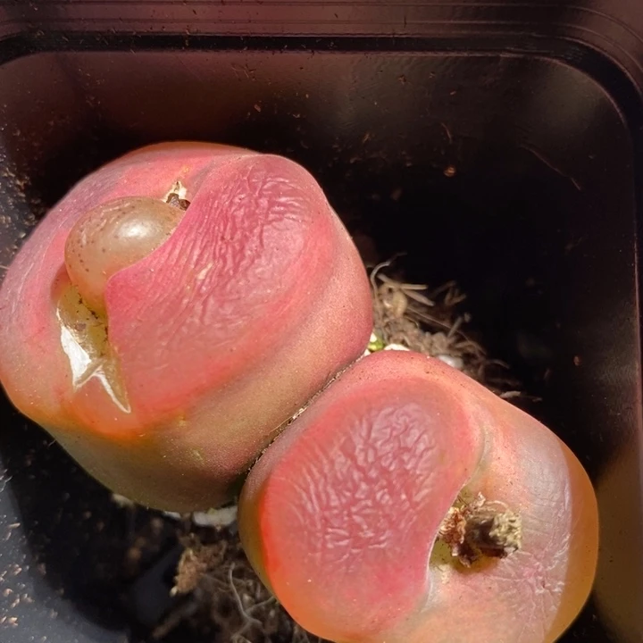 13214一个一个一个