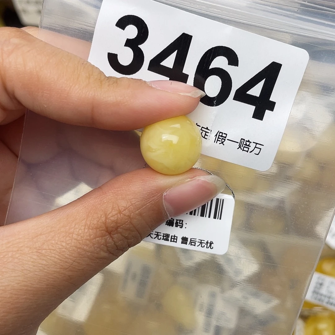 蜜蜡未镶嵌珠宝奇石14.2植物
