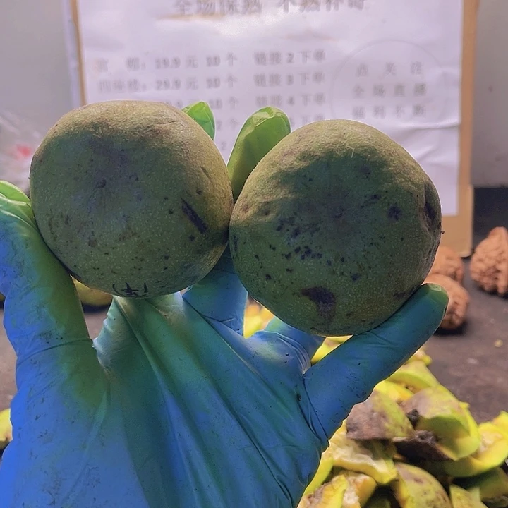 吊坠文玩核桃南瓜大2