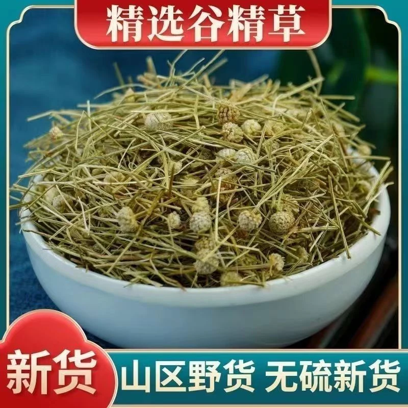 中药材精选正品 谷精草 中草药 优质新货 谷精草 珍珠草 散装包邮