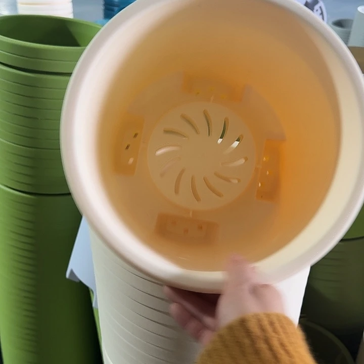 球根26口径6个无托米黄