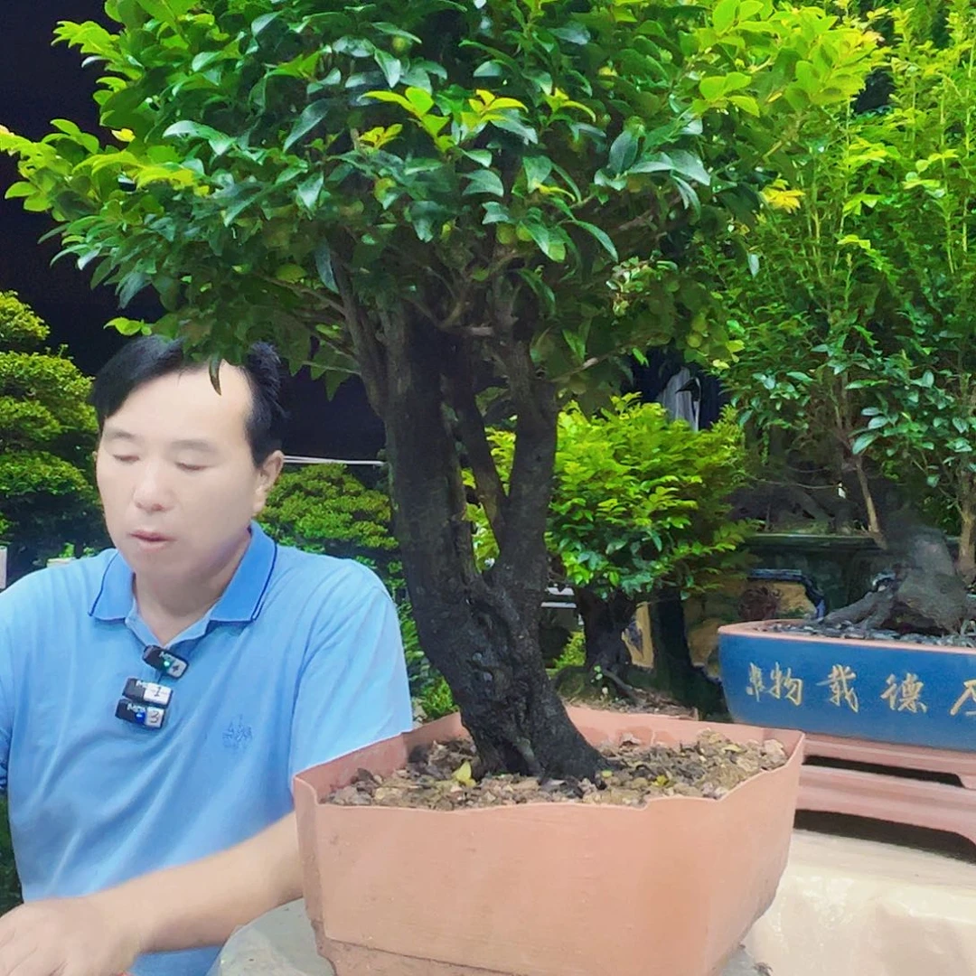 无花朵刘****）秀明园艺秀明园艺