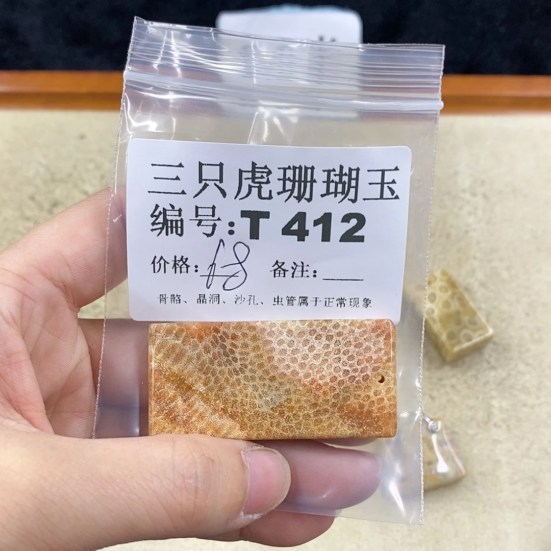 硅化珊瑚（珊瑚玉）1未镶嵌我**空