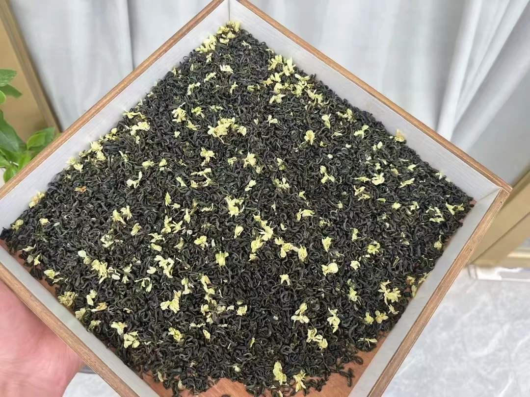 浓香甘露飘雪新茶有芽有叶口感好的茉莉花茶