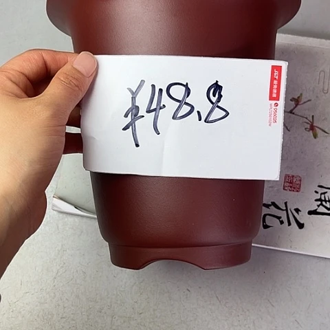 紫砂58298585685885544