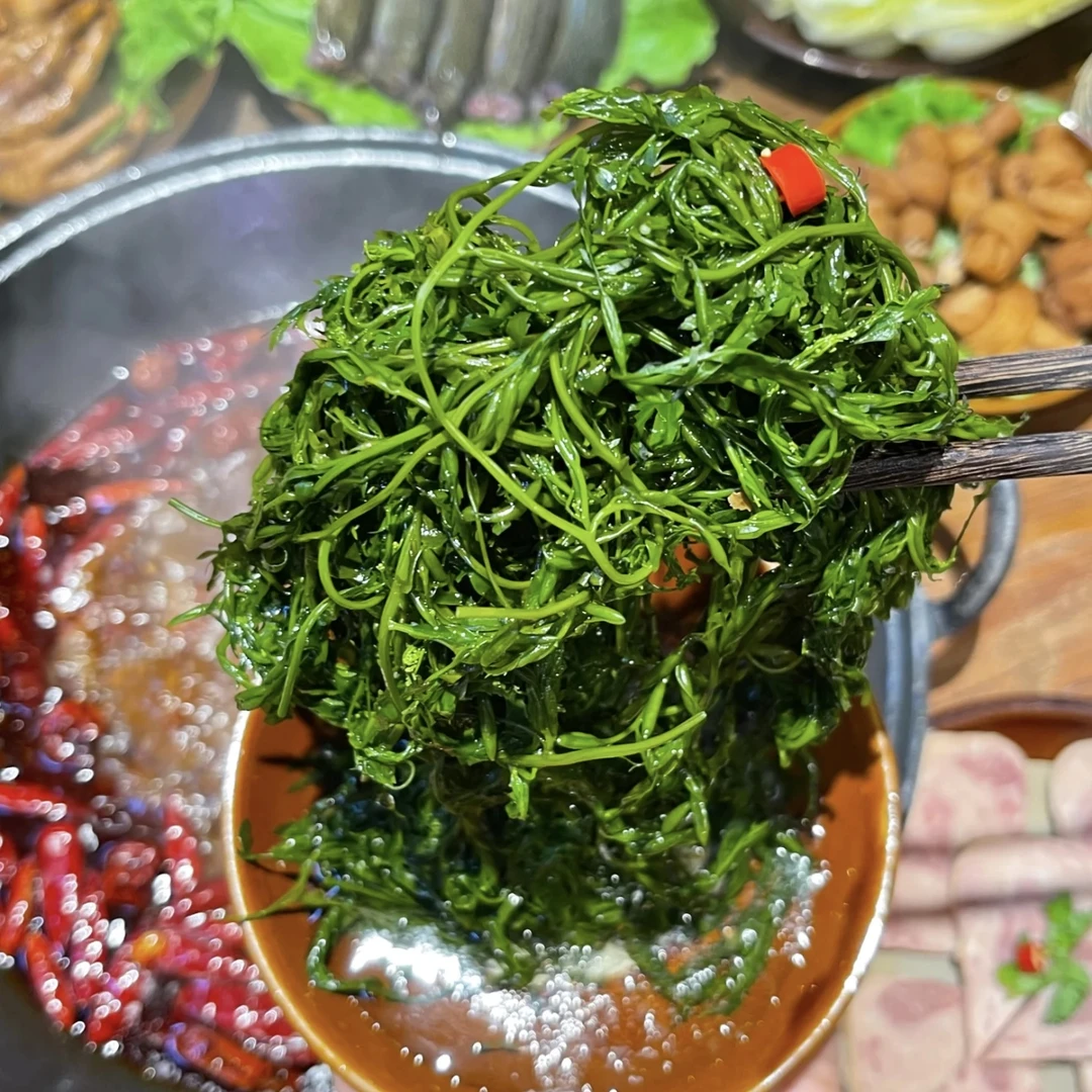 海味嫂火锅鞭炮笋200克*5袋盐渍海草正宗新鲜海藻海产海草菜