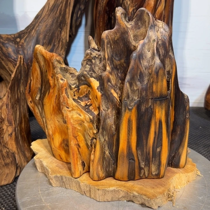 此***景木直播间一物一拍