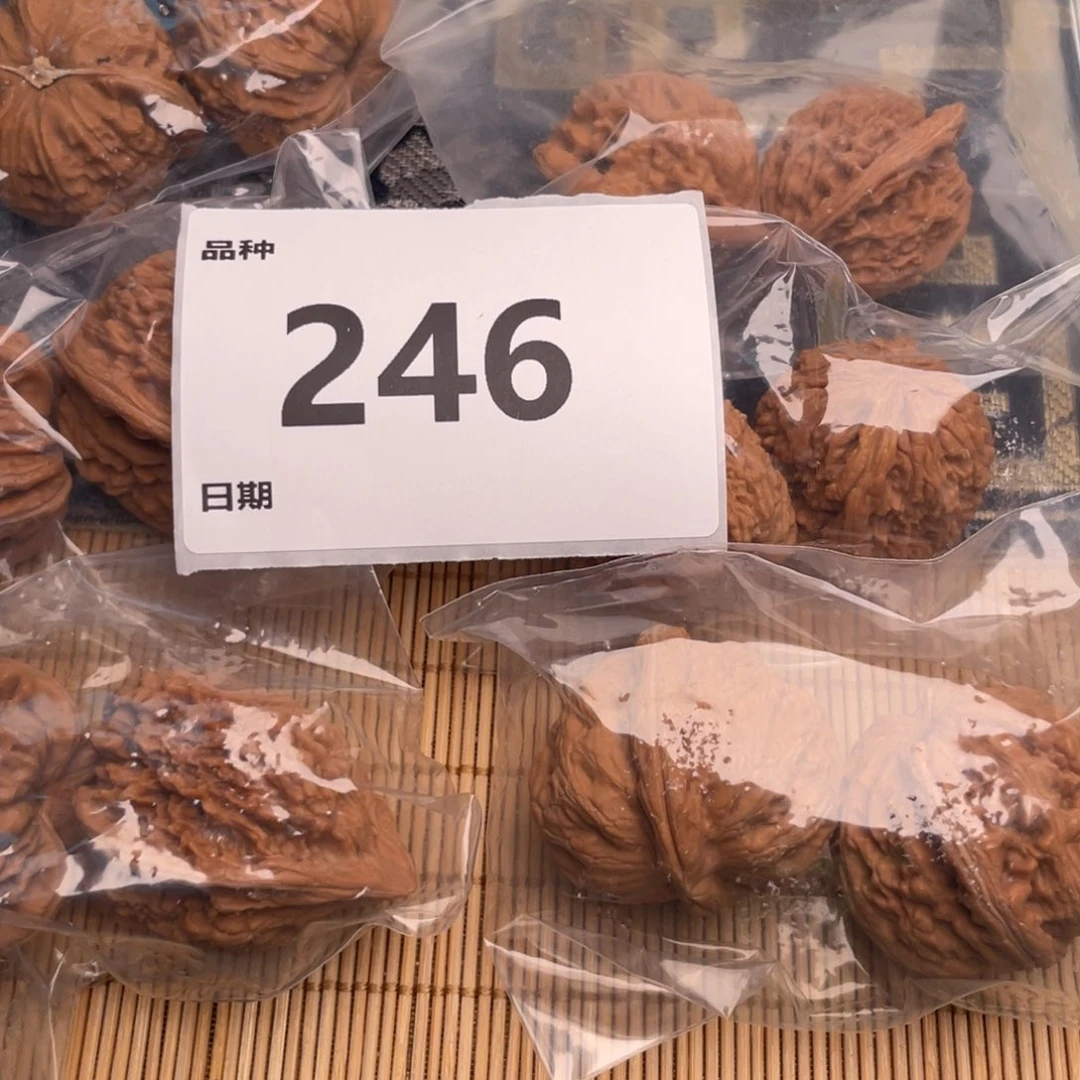 文玩核桃把件246号6对带练手元宝