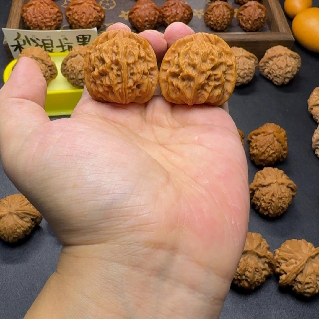 核桃闪电购全品天地