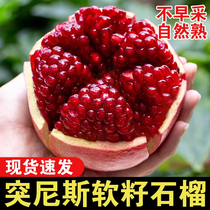 四川会理突尼斯软子石榴新鲜当季鲜甜多汁饱满WL