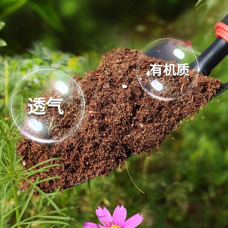 精品老桩   种植土