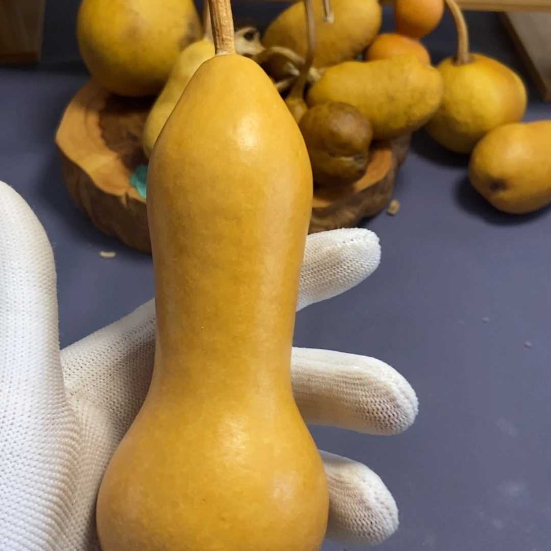没****哈哈哈哈哈哈哈哈哈哈