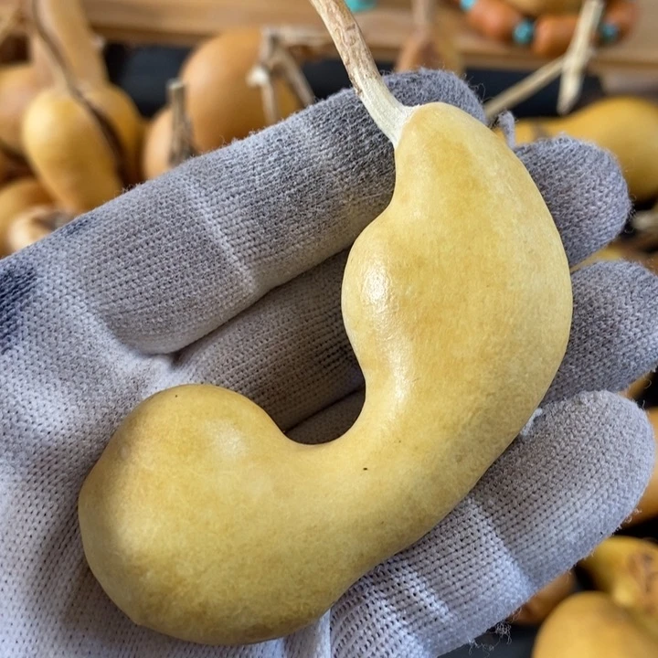 酒**子葫芦葫芦真的