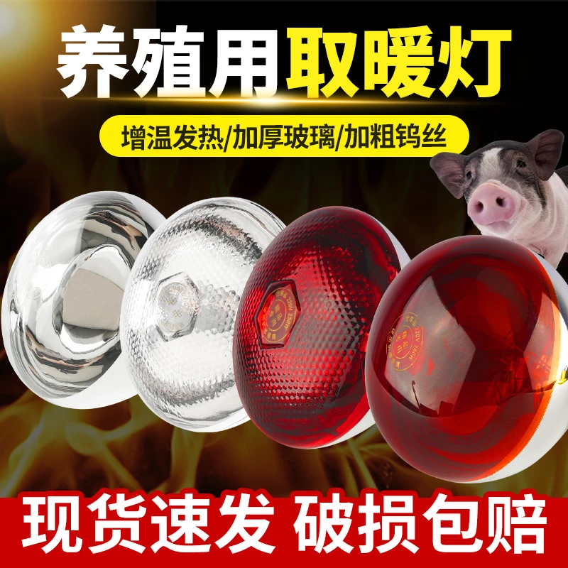 8个装畜牧养殖保温灯鸭舍鸡场育雏加热保暖仔猪取暖灯泡烤灯包赔