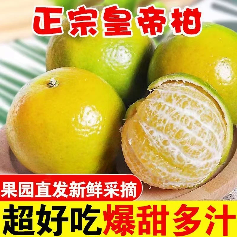 【个头小，纯甜】正宗广西武鸣皇帝柑 新鲜采摘
