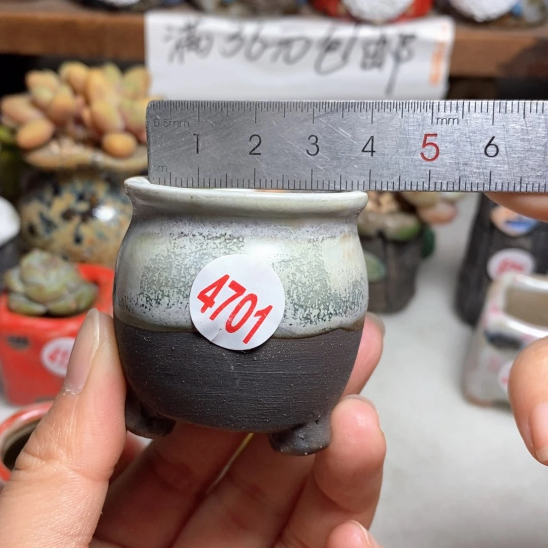 拍5送一个小礼物