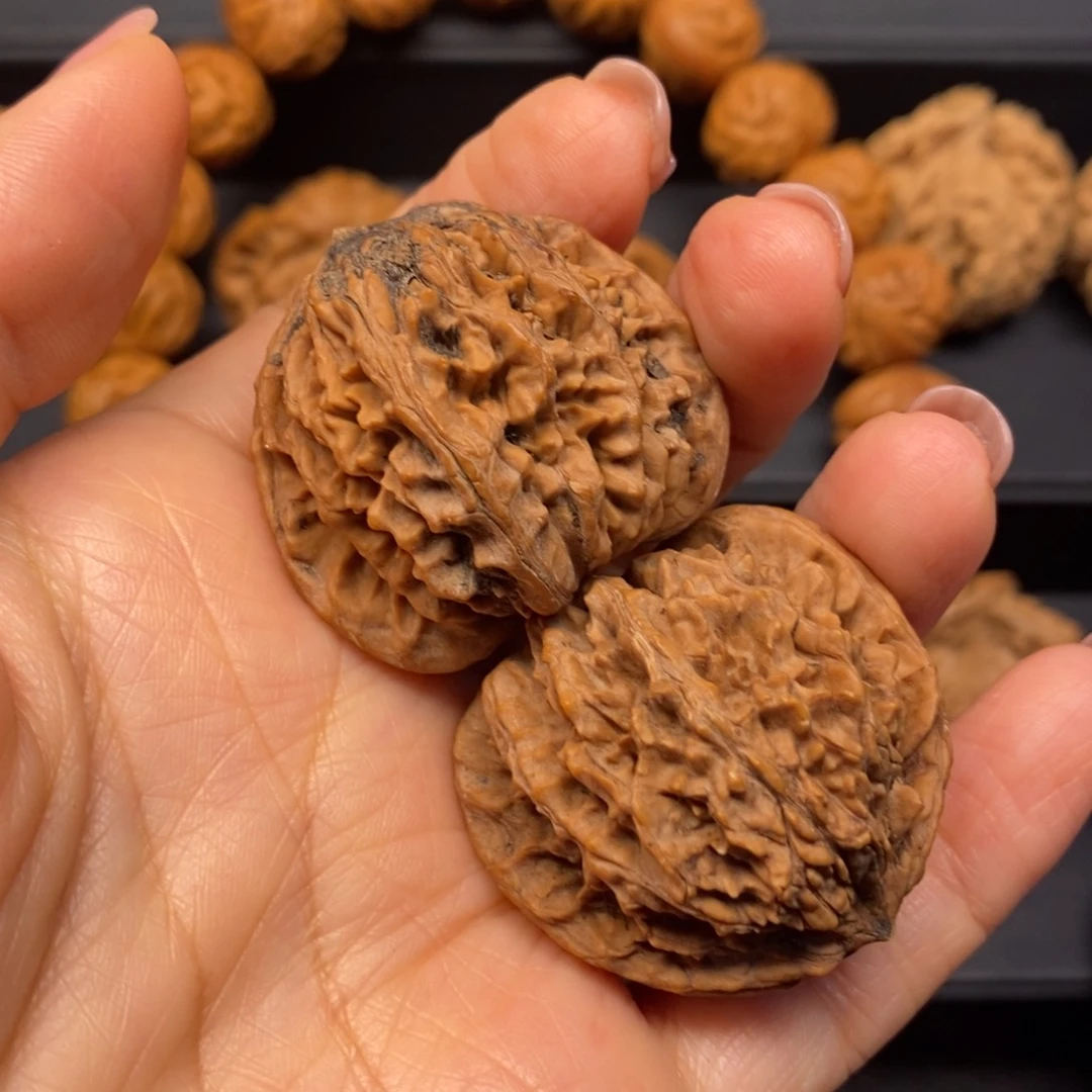 秦岭南北缘和秦岭北麓部分地带