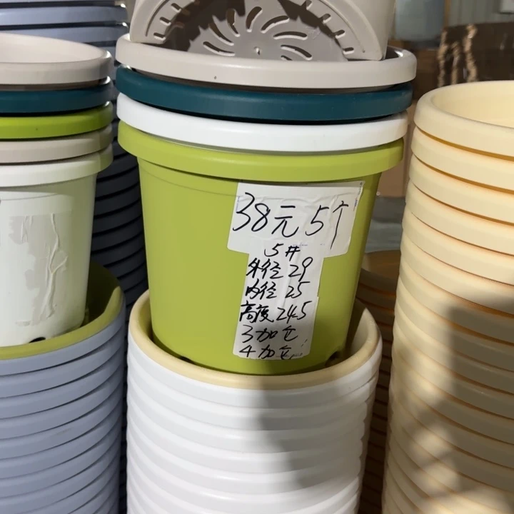 四季5#口径29无托果绿5个
